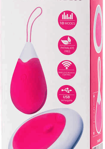 REMOTE CONTROL EGG